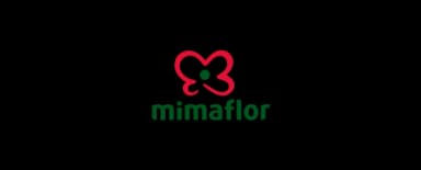 Miamflor
