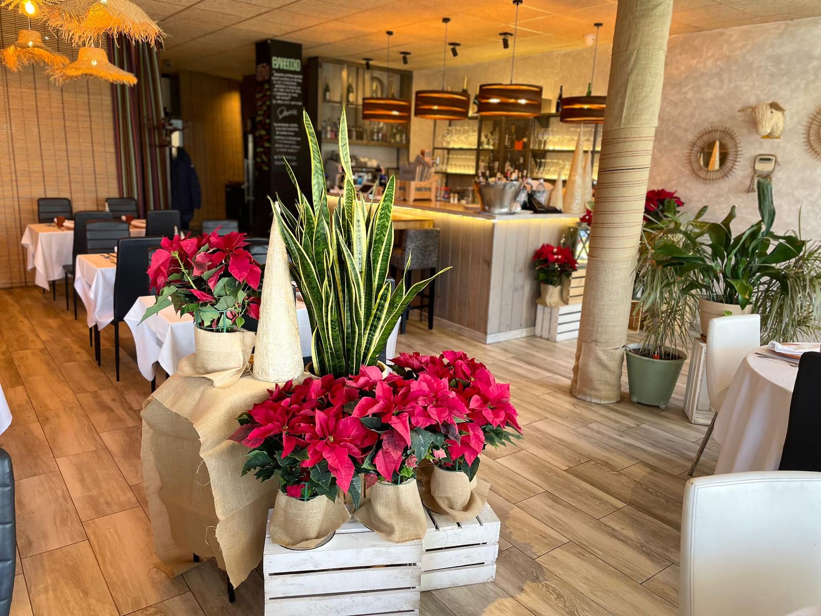 Barbecho Bar by Rodrigo de la Calle, contenido del proyecto