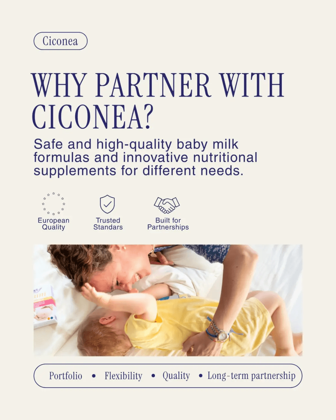 Ciconea, imagen del proyecto