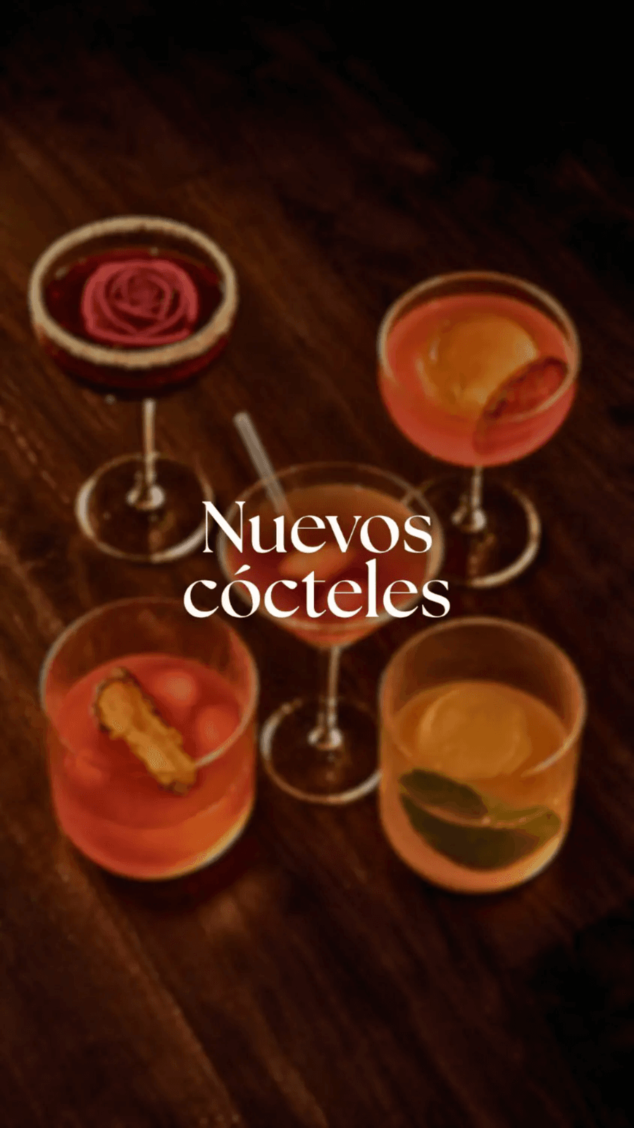 El Invernadero Restaurante – Rodrigo de la Calle, imagen del proyecto
