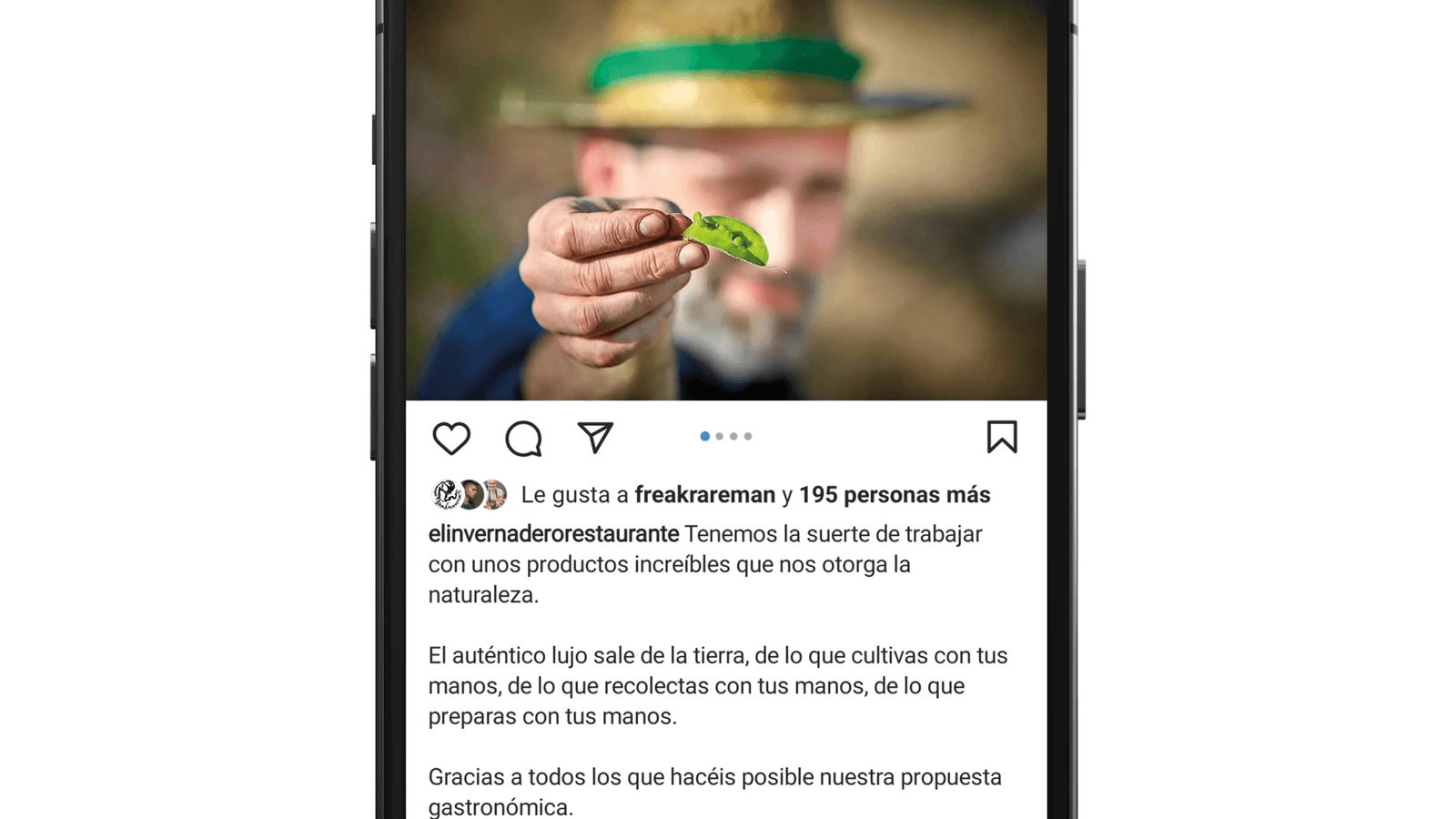 El Invernadero Restaurante – Rodrigo de la Calle, imagen del proyecto
