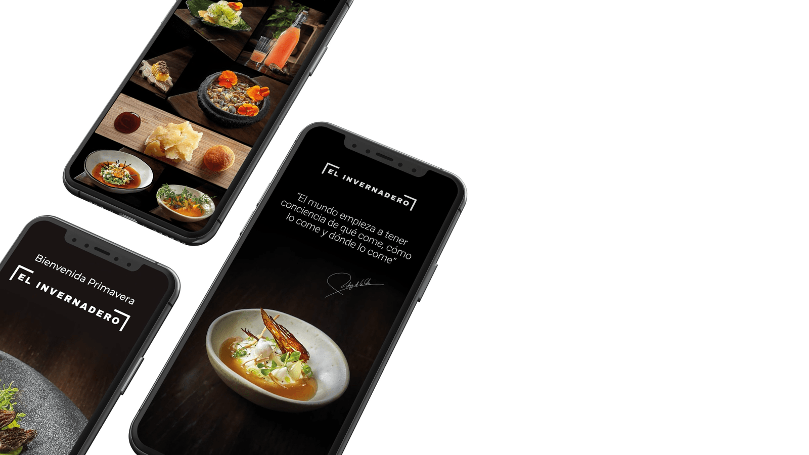 El Invernadero Restaurante – Rodrigo de la Calle, imagen del proyecto