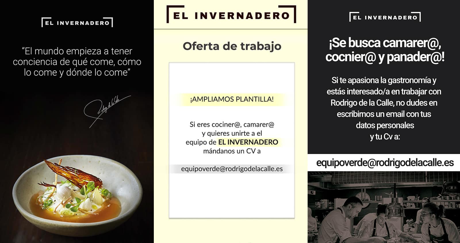 El Invernadero Restaurante – Rodrigo de la Calle, imagen del proyecto