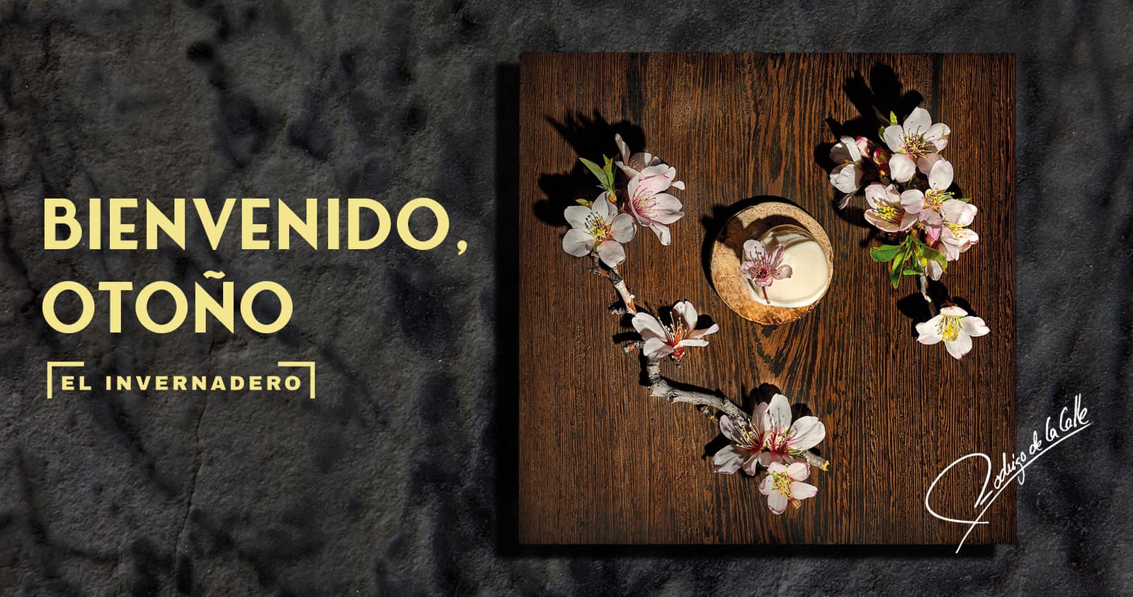 El Invernadero Restaurante – Rodrigo de la Calle, imagen del proyecto