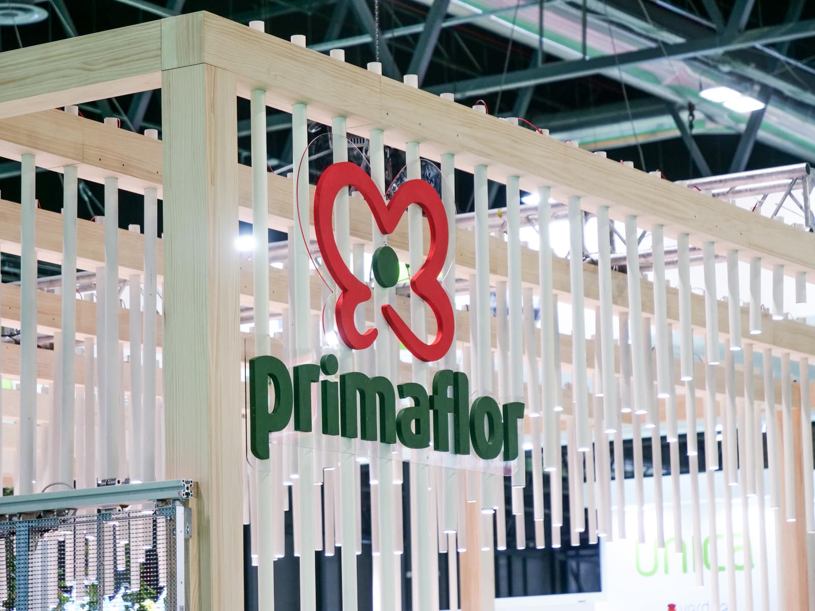 Mimaflor y Primaflor – Gestión Digital y Video, contenido del proyecto