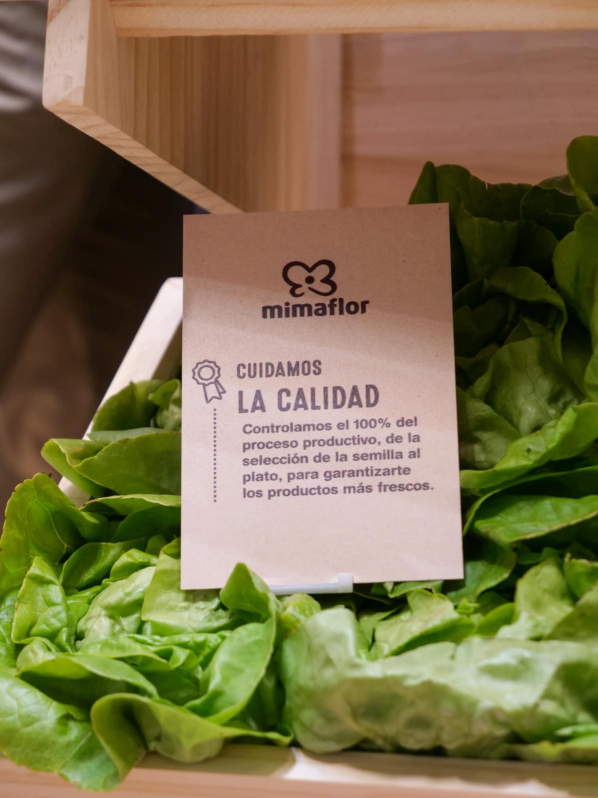 Mimaflor y Primaflor – Gestión Digital y Video, contenido del proyecto