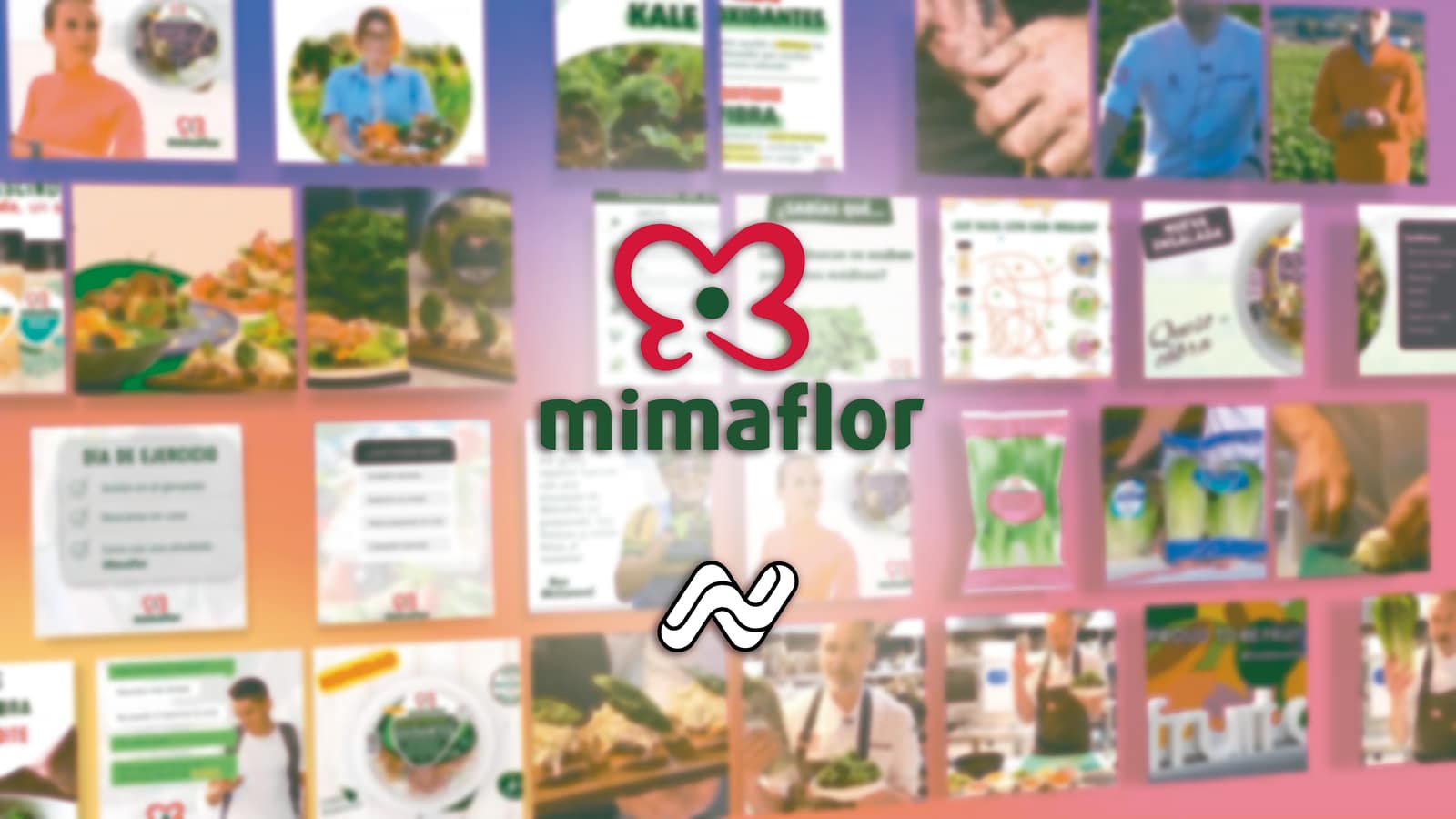 Mimaflor y Primaflor – Gestión Digital y Video, contenido del proyecto