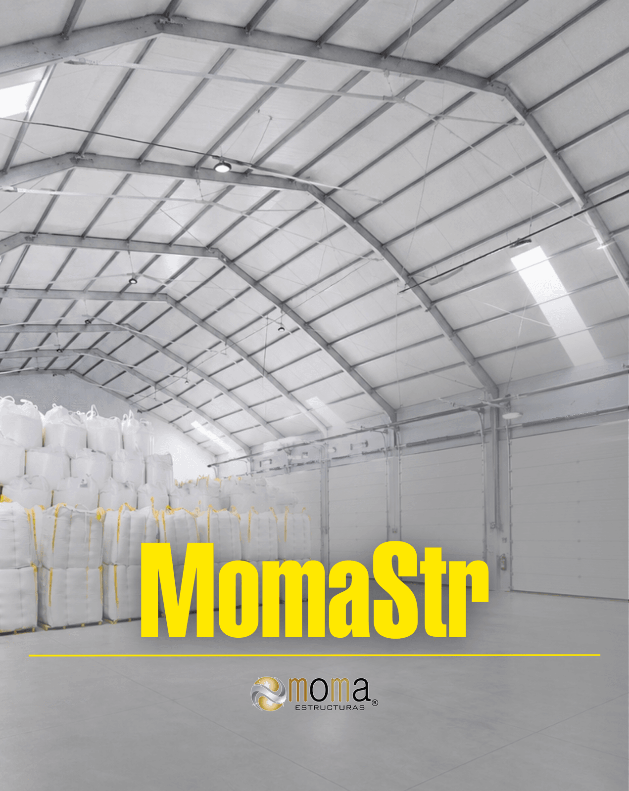 Moma, imagen del proyecto