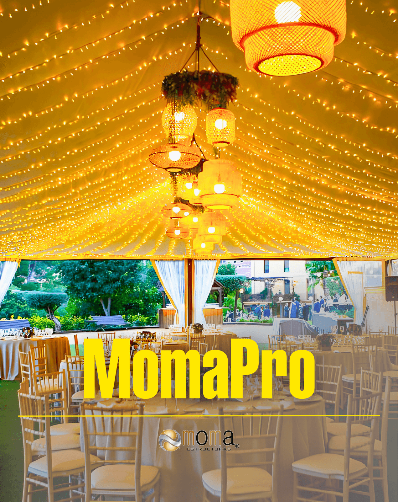 Moma, imagen del proyecto