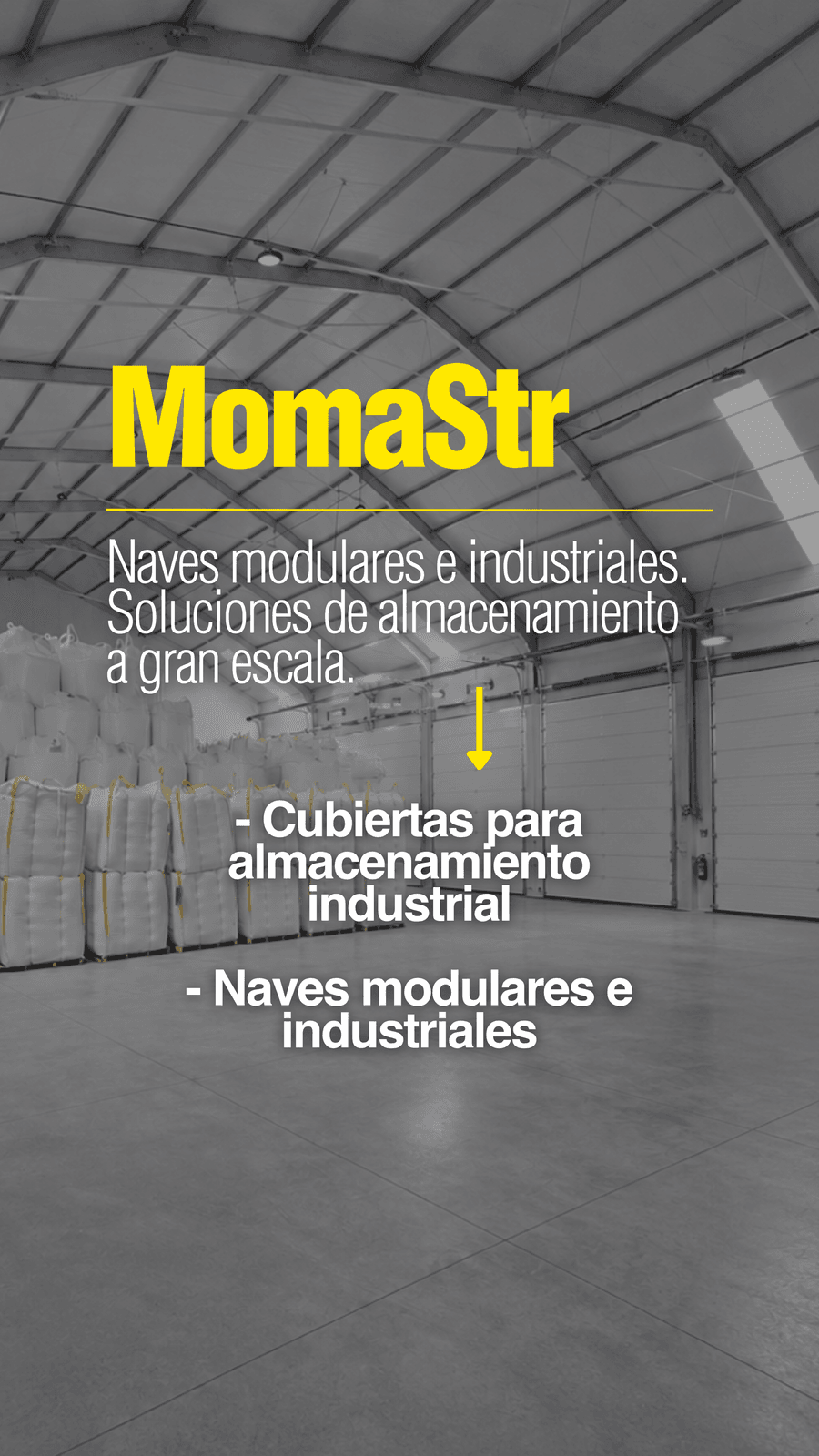 Moma, imagen del proyecto