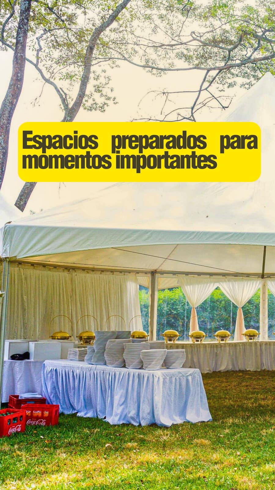 Moma, imagen del proyecto