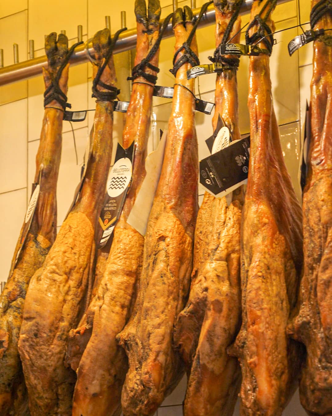 El Parlamento Andaluz – Murcia, contenido del proyecto