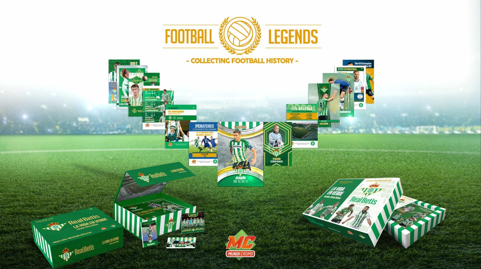 Real Betis Balompié – Marketing para Redes Sociales, imagen del proyecto