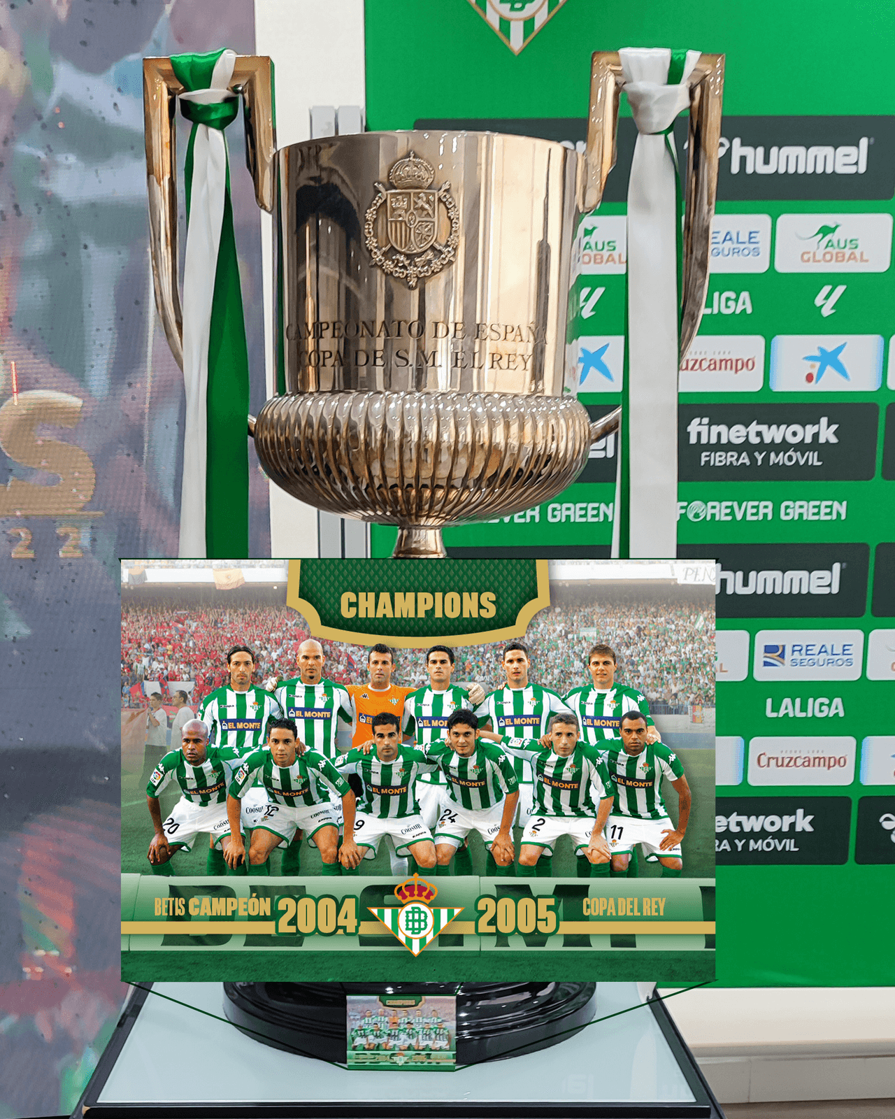 Real Betis Balompié – Marketing para Redes Sociales, imagen del proyecto