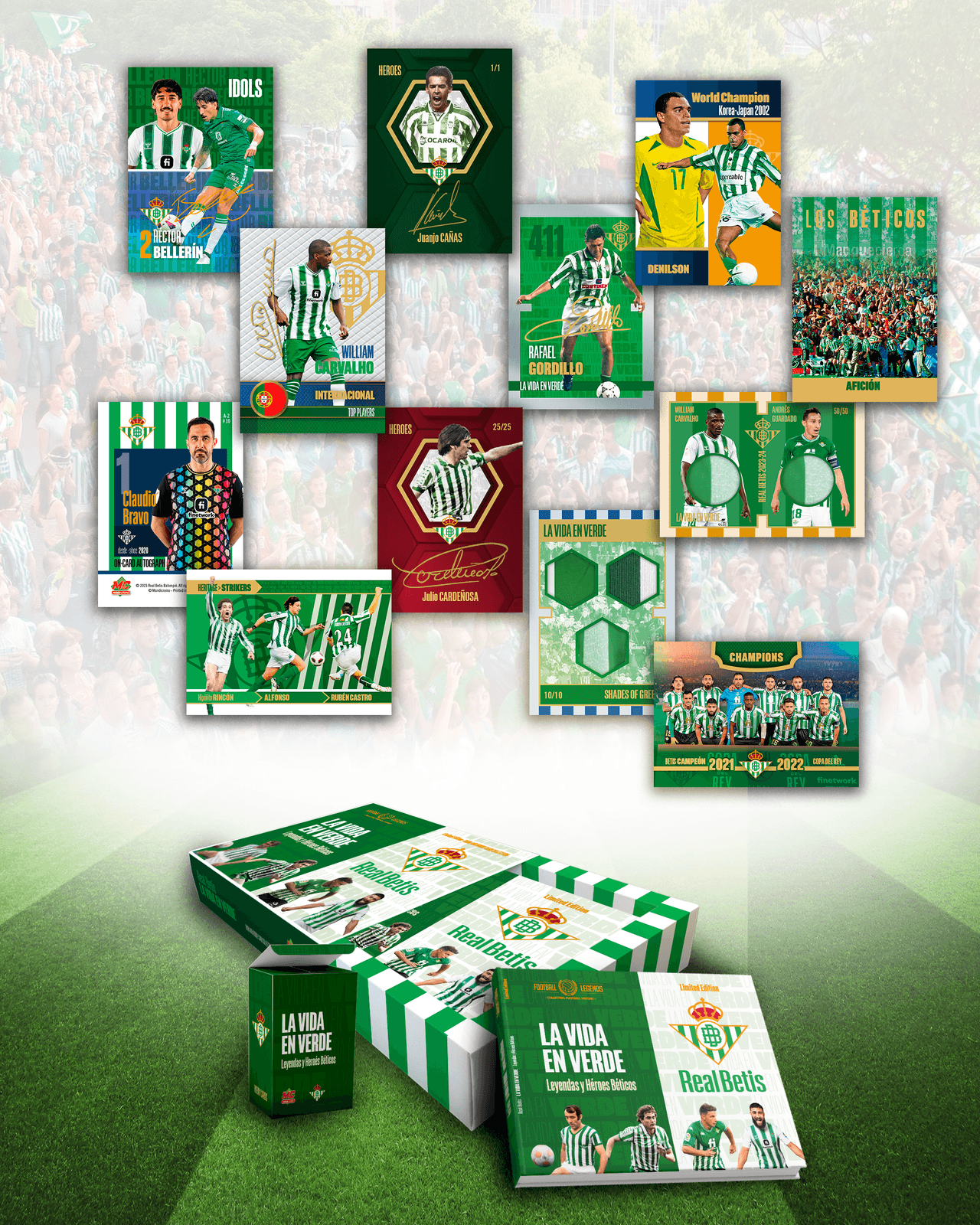 Real Betis Balompié – Marketing para Redes Sociales, imagen del proyecto