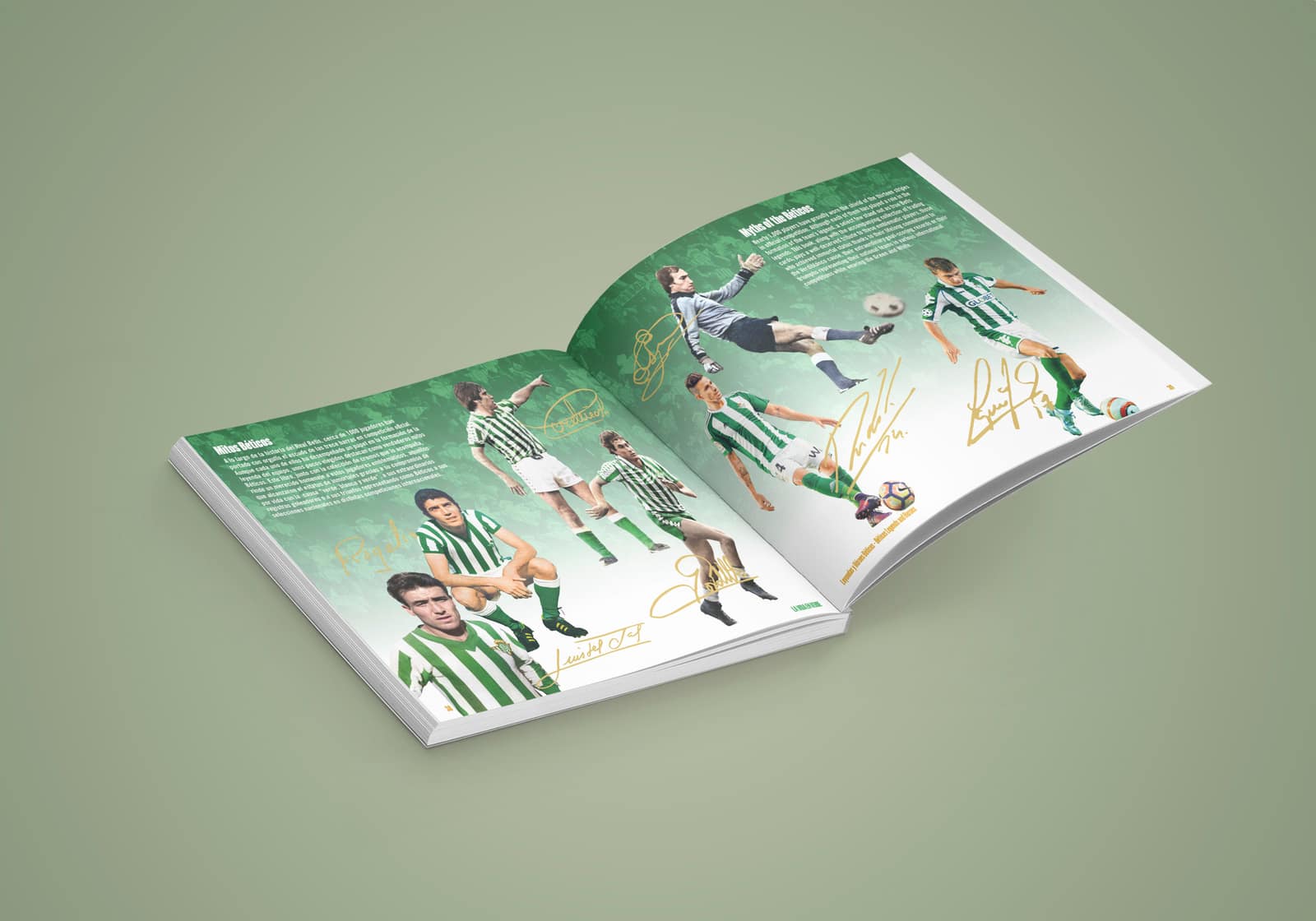 Real Betis Balompié – Marketing para Redes Sociales, imagen del proyecto